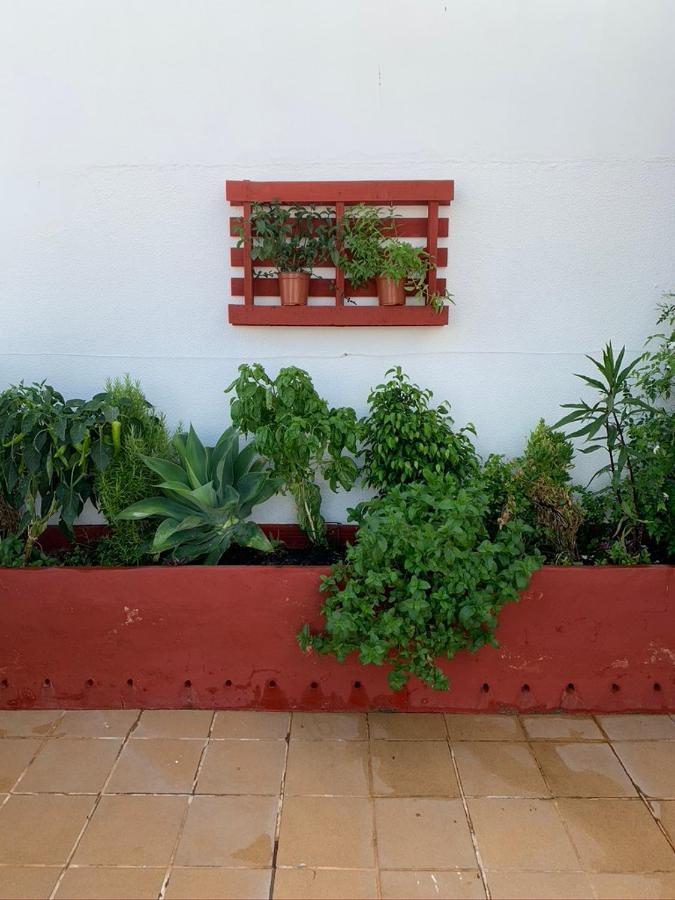 Atico La Ilusion Con Parking Apartment Sanlucar de Barrameda Luaran gambar
